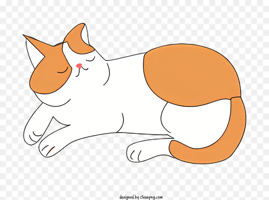 Gato，Gato Marrom E Branco PNG