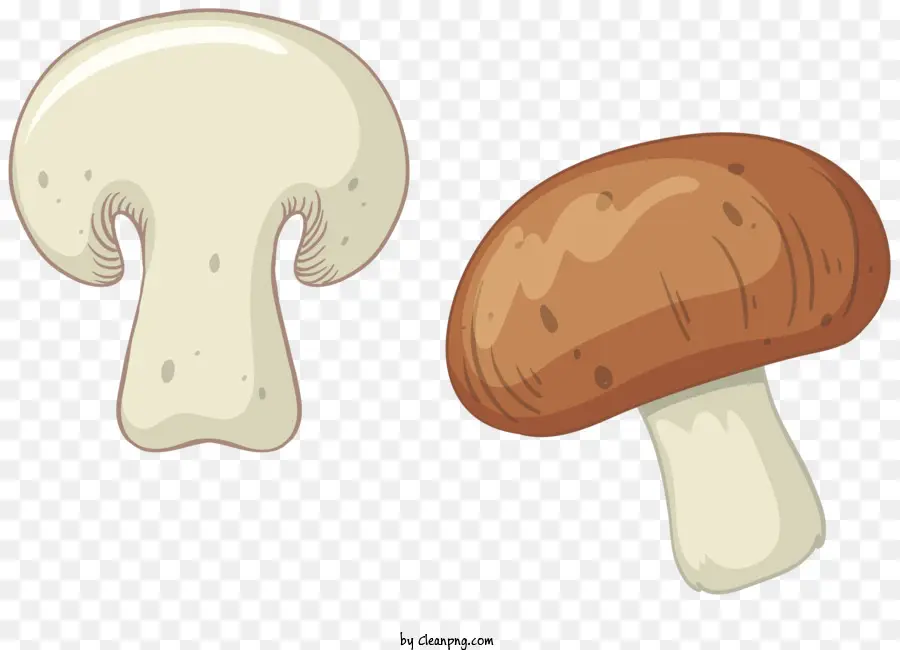 Cogumelos，Brown Cogumelos PNG