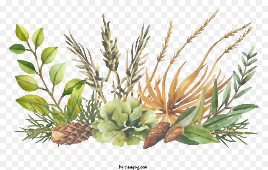 Aquarela Plantas，Plantas Verdes E Marrons PNG