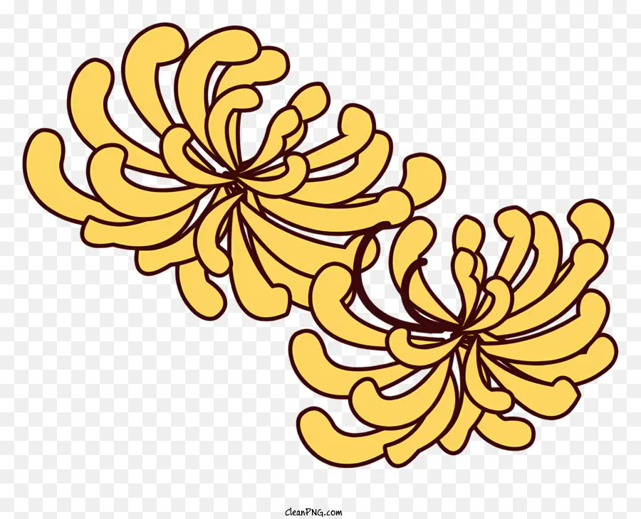 Crisântemos Amarelos，Forma Circular PNG