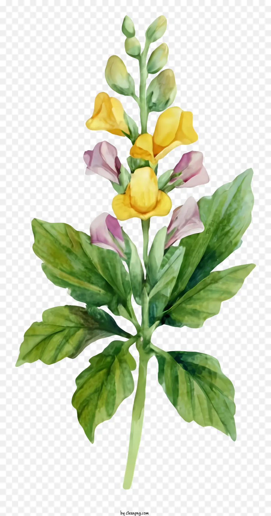Pintura Em Aquarela，Flores Amarelas Brilhantes PNG