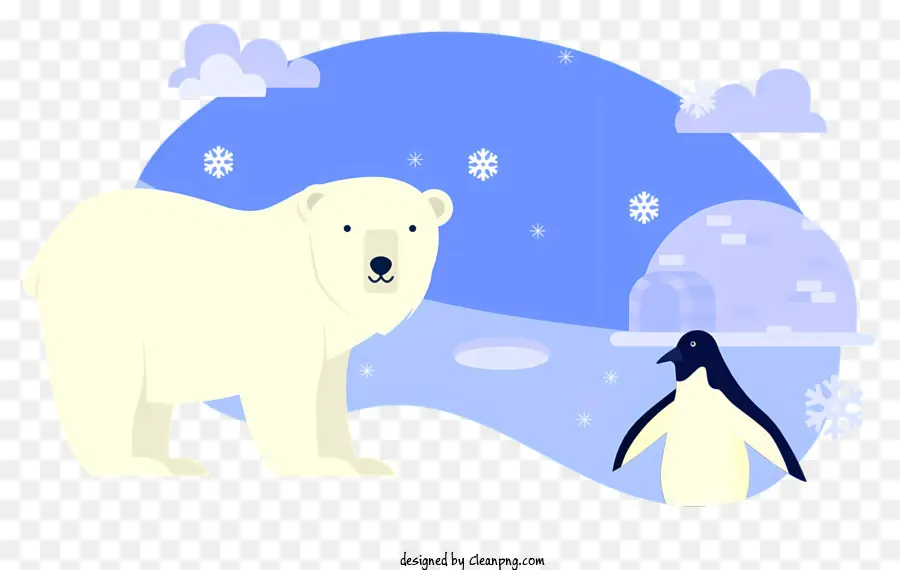 Urso Polar，Penguin PNG