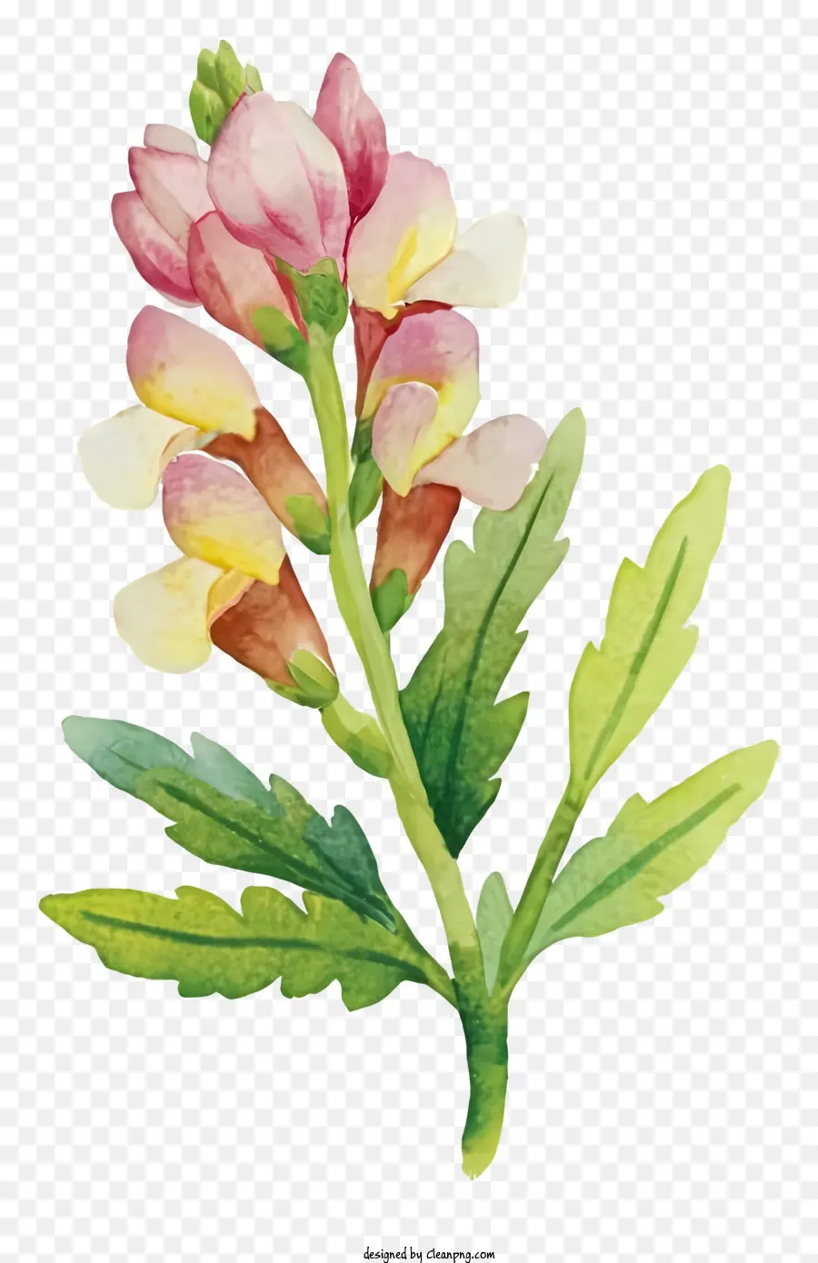 Pintura De Flores，Flor PNG