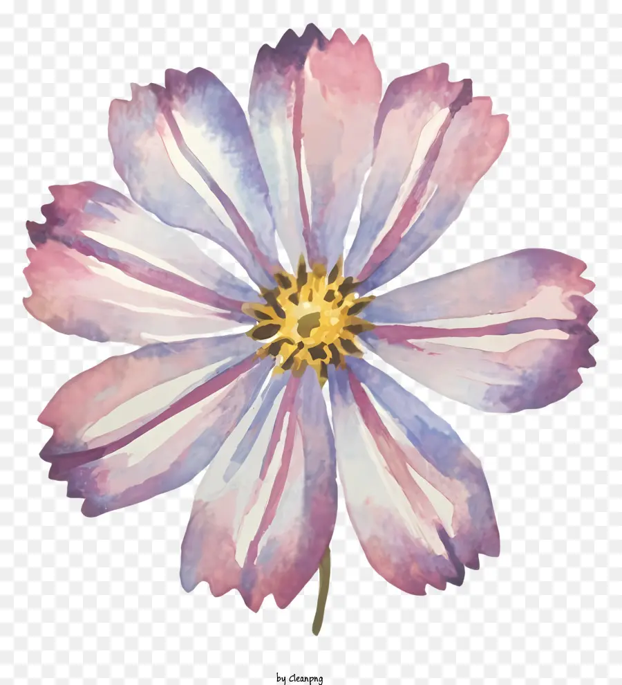 Cor De Rosa E Flor Roxa，Bloom único PNG