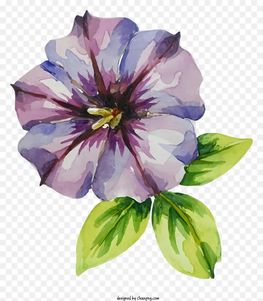 Pansy Flor，Pintura Em Aquarela PNG