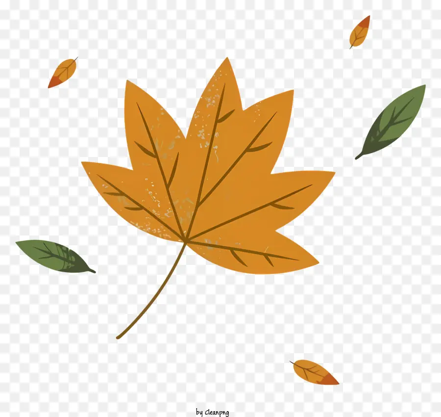Autumn Leaves，Folhas Caindo PNG