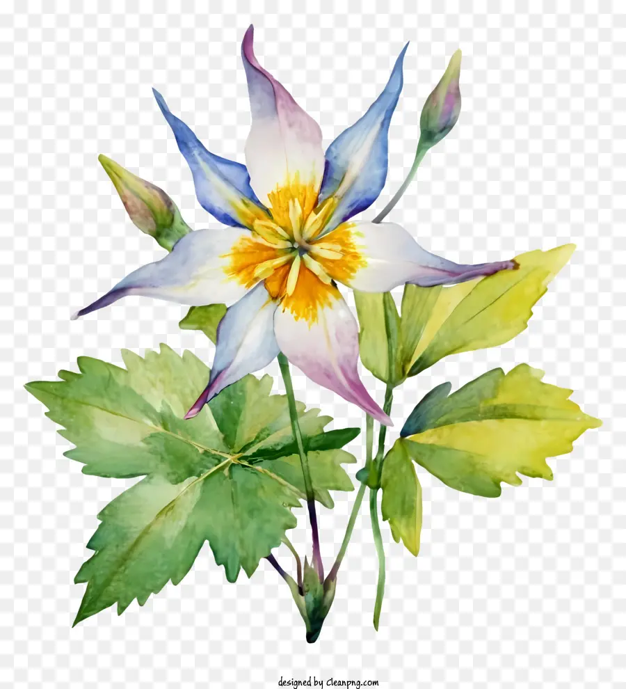Pintura，Flores Coloridas PNG