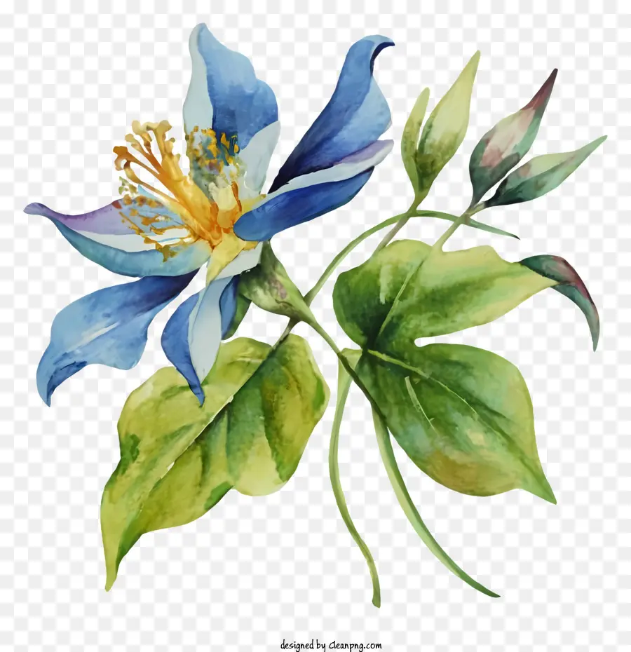 Pintura，Flor Azul PNG