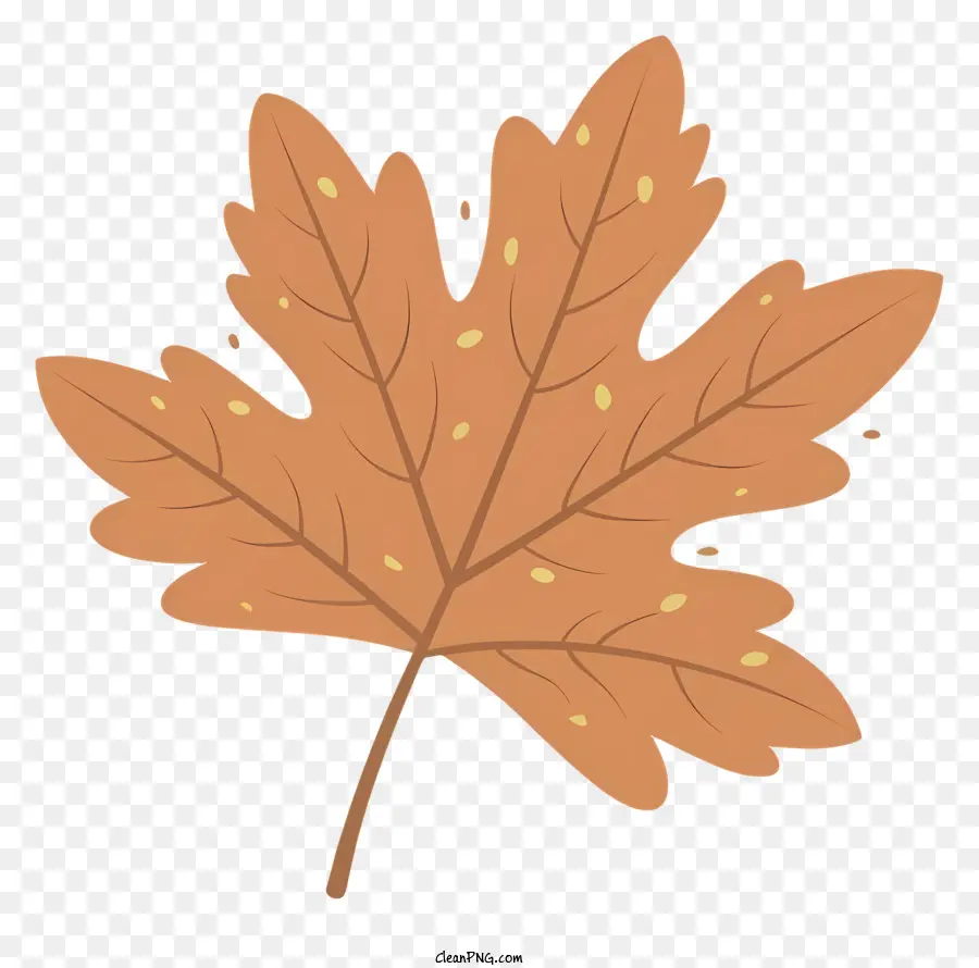 Outono Maple Leaf，Material Orgânico PNG