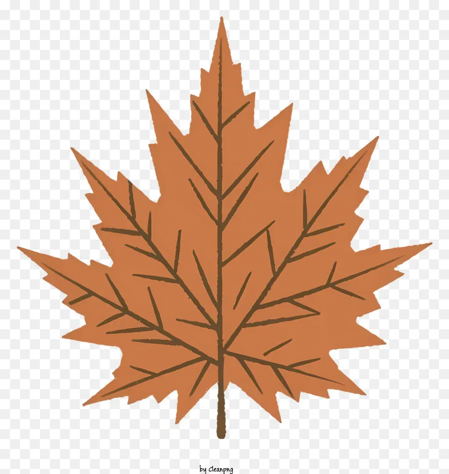 Maple Leaf，Marrom Folha PNG