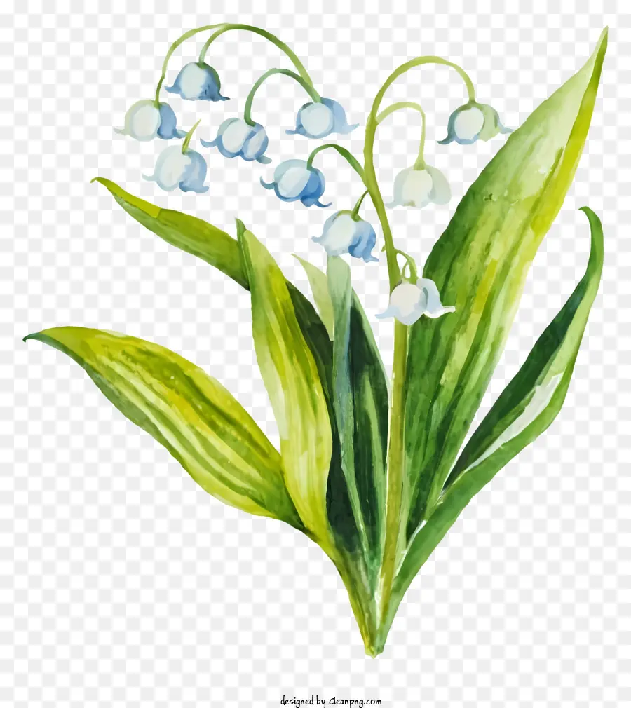 Aquarela Flores，Buquê Azul PNG