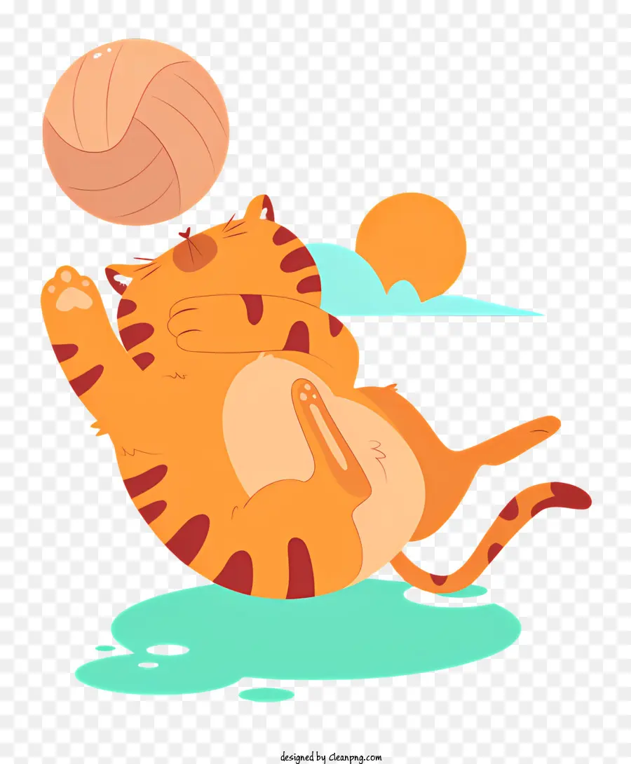 Gato Jogando Com Bola，O Esguicho De água PNG