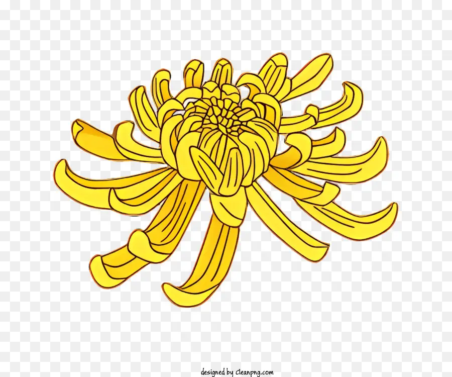 Flor Amarela，Florescer PNG