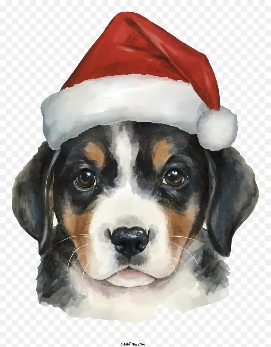 Cachorro Em Chapéu De Papai Noel，Cão Feliz PNG