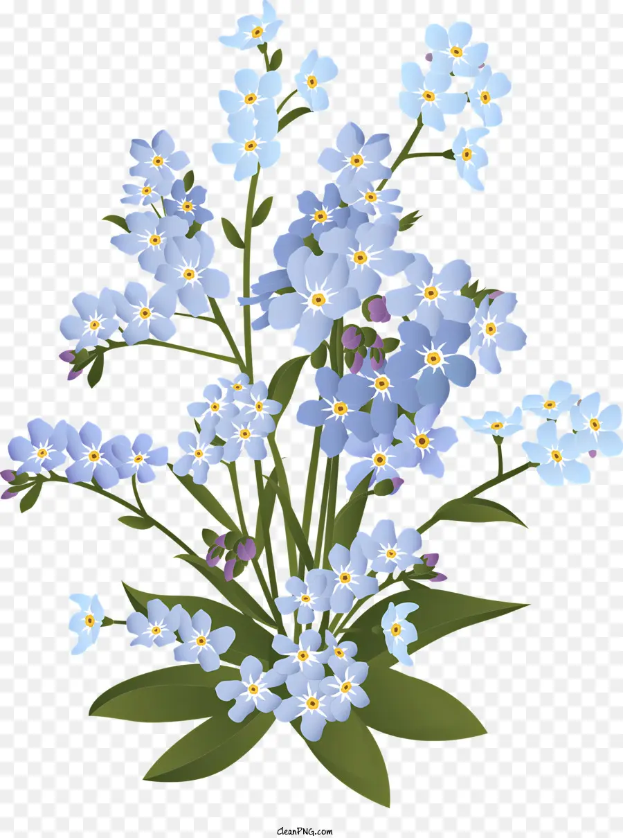 Esqueça Me Nots，Flores Azuis PNG