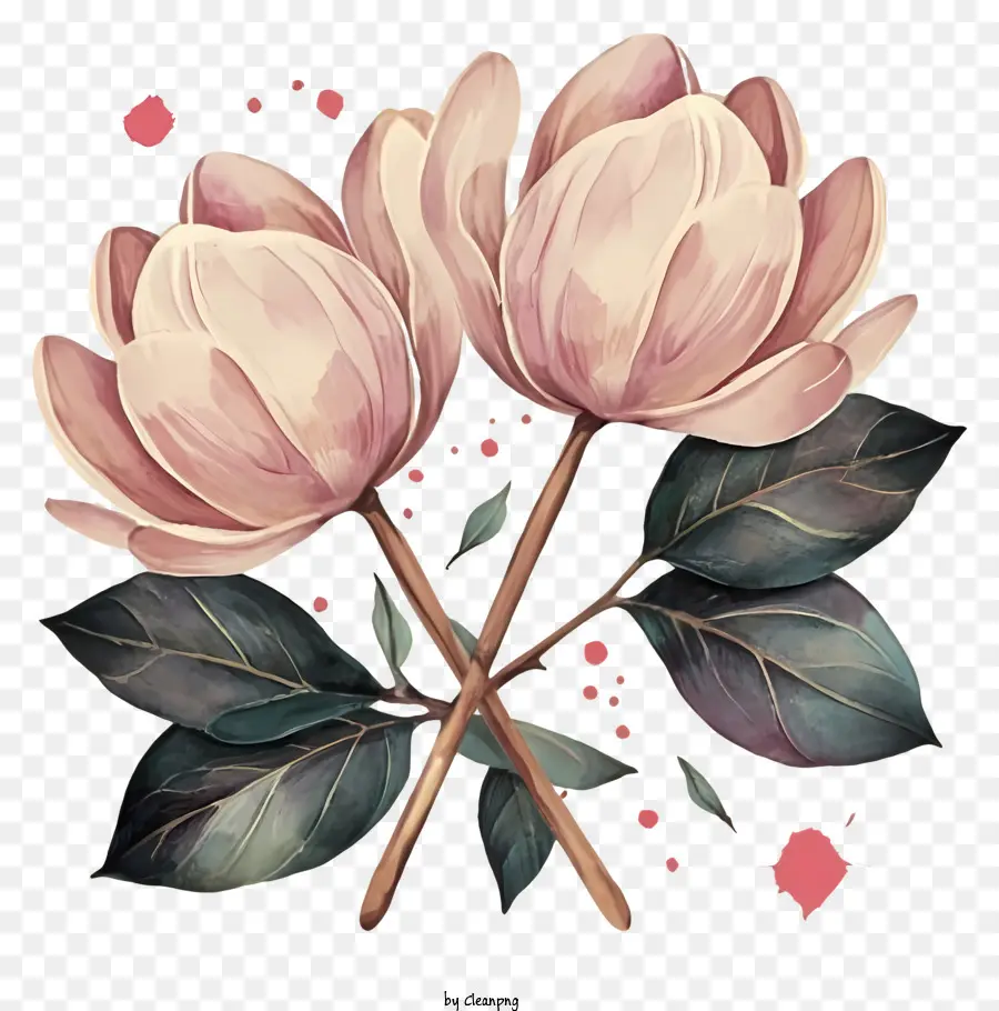 Flores Cor De Rosa，Branco Folhas PNG
