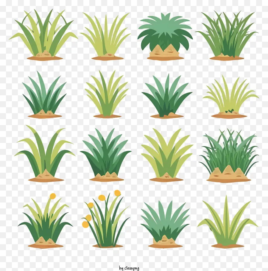 Diversidade De Plantas，Plantas Verdes PNG