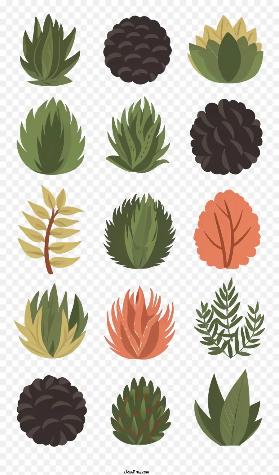 Plantas Suculentas，Arbustos PNG