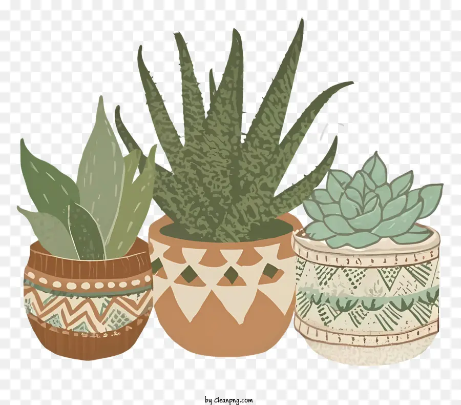 Vasos De Plantas，Cactus PNG