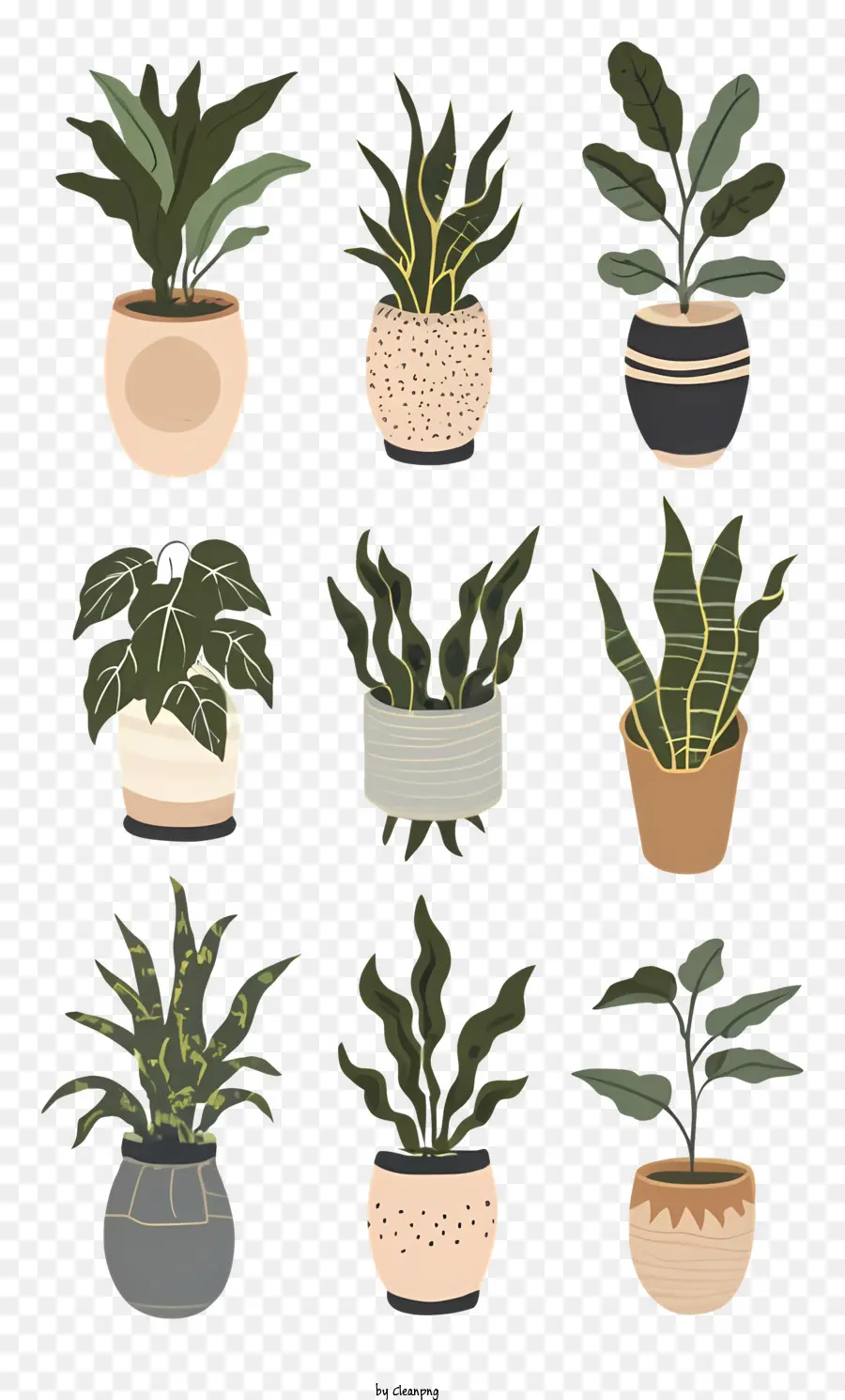 Plantas Em Vasos，Samambaias PNG