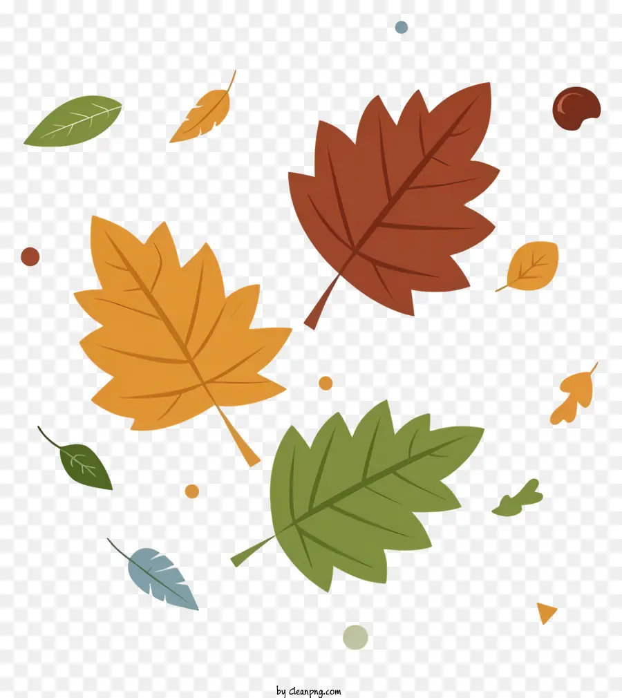 Folhas De Outono，Folhas Coloridas PNG
