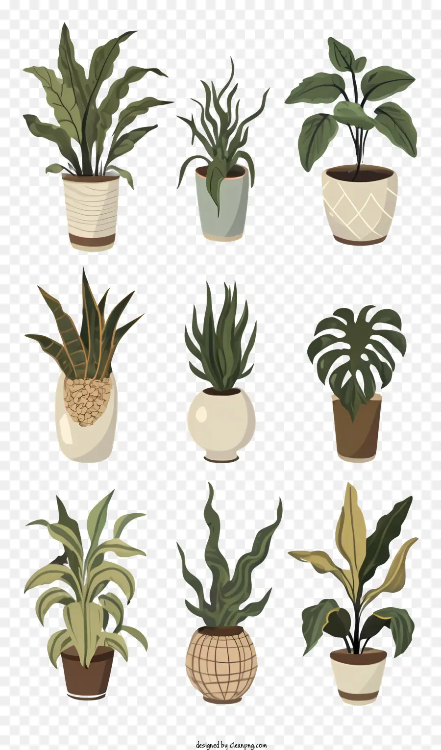 Plantas Em Vasos，Vasos De Plantas PNG