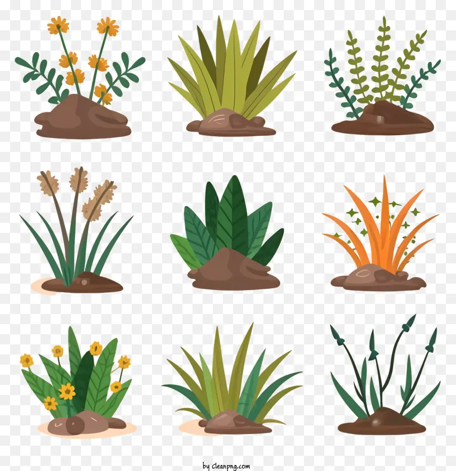 Plantas，Pilha De Sujeira PNG