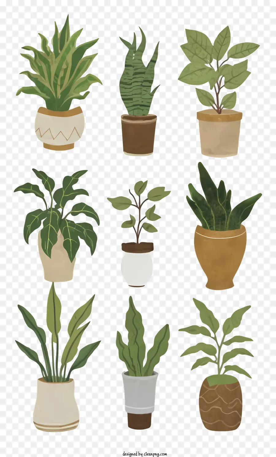 Vasos De Plantas，Plantas Tropicais PNG