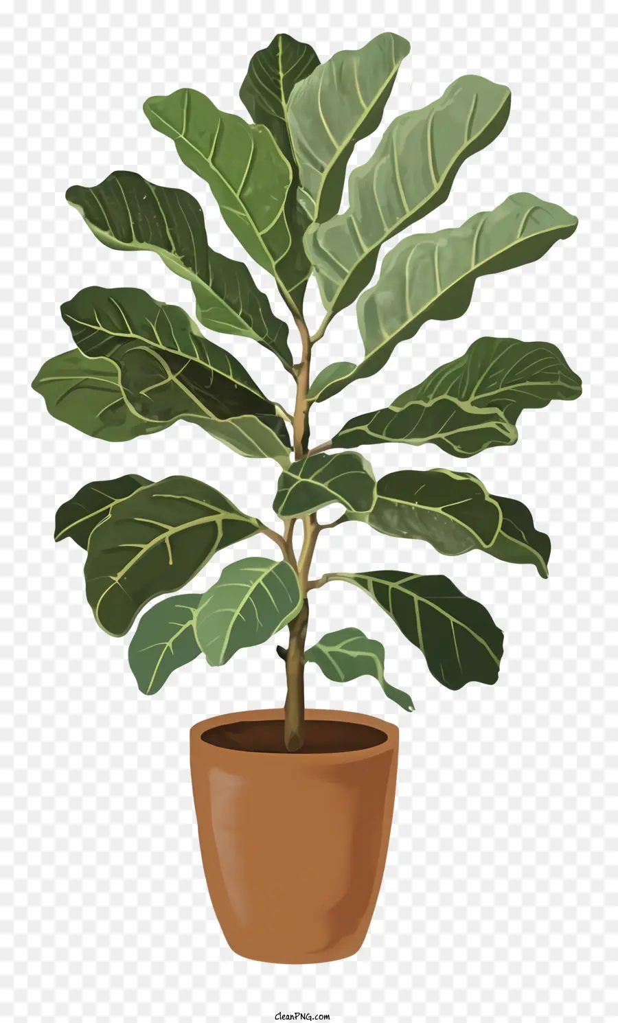 Fern Plant，Pequeno Pote PNG