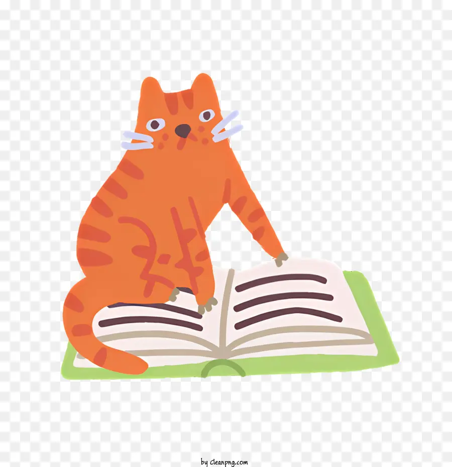 Gato，Gato No Livro PNG