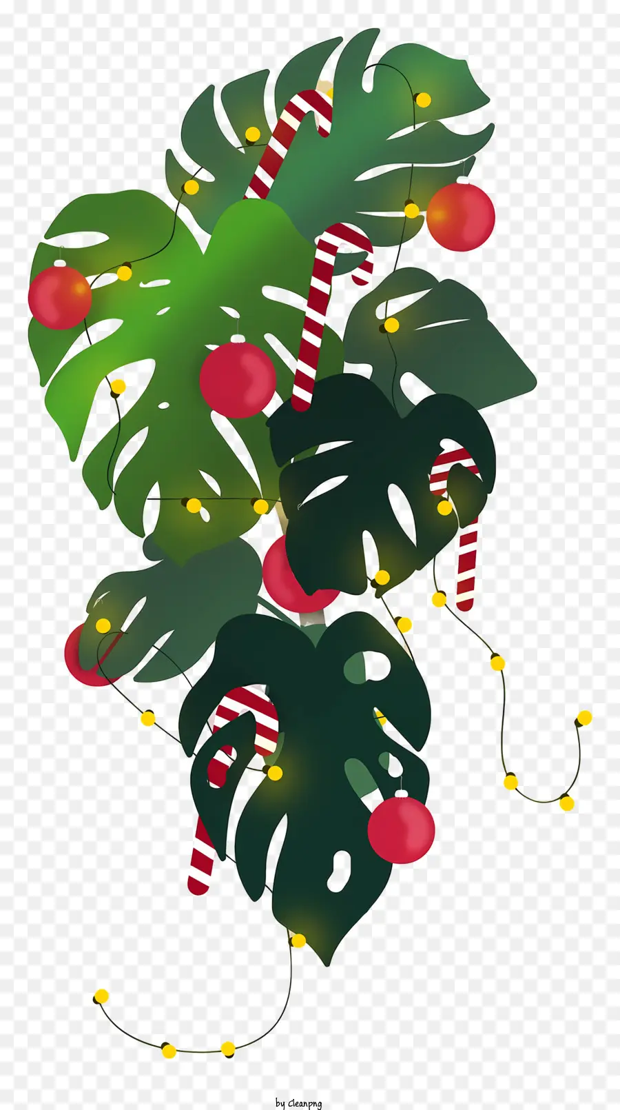 Planta De Natal，Folhas Verdes PNG