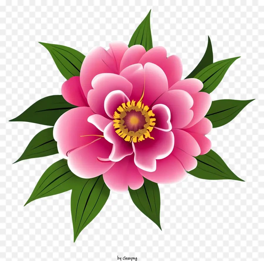 Cor De Rosa Peônia Flor，Flor De Cinco Pétalas PNG