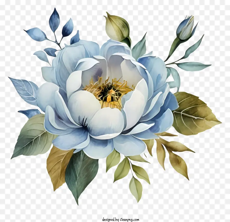 Flor De Peônia，Flor Azul E Branca PNG