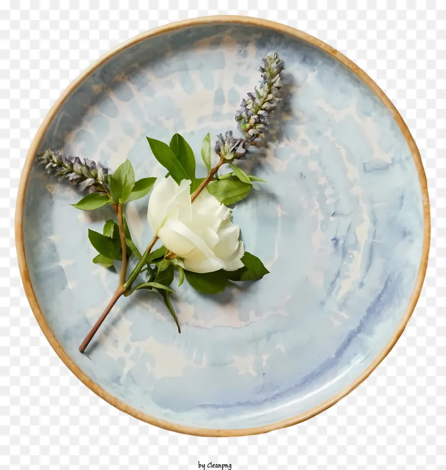 Placa De Cerâmica Azul E Branca，Flor Branca PNG
