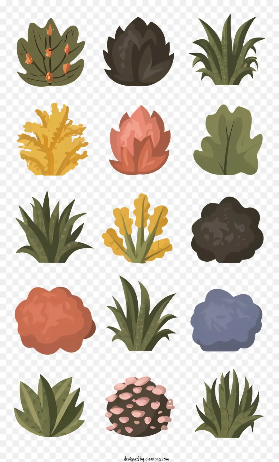 Plantas，Gramíneas PNG