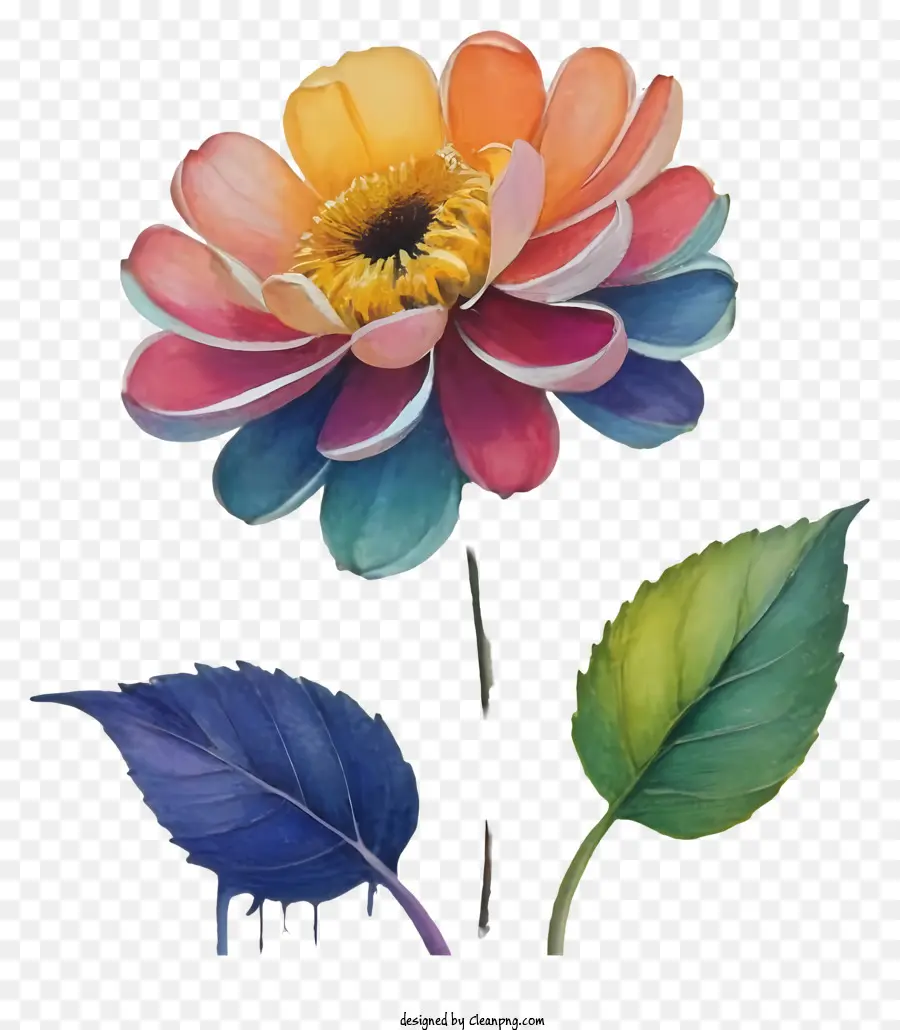Flores Coloridas，Tinta De Aquarela PNG