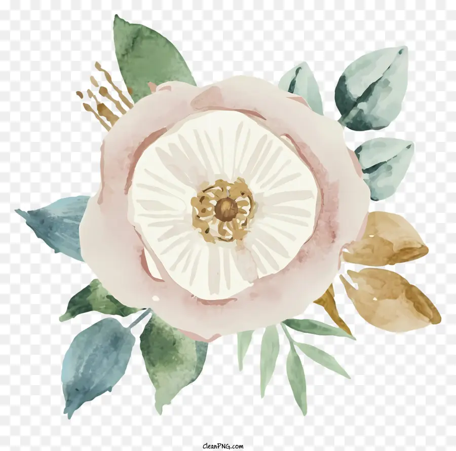 Ilustração Em Aquarela，Rosa Branca PNG