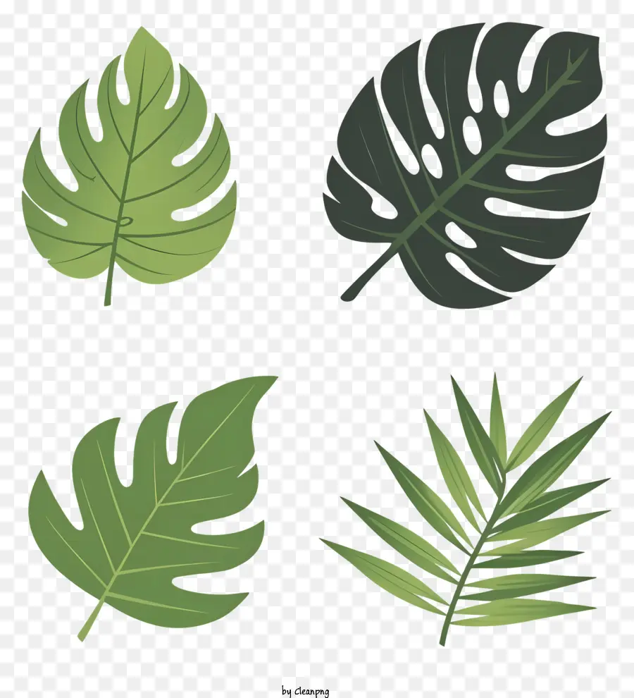 Folhas Verdes，Diferentes Formas PNG