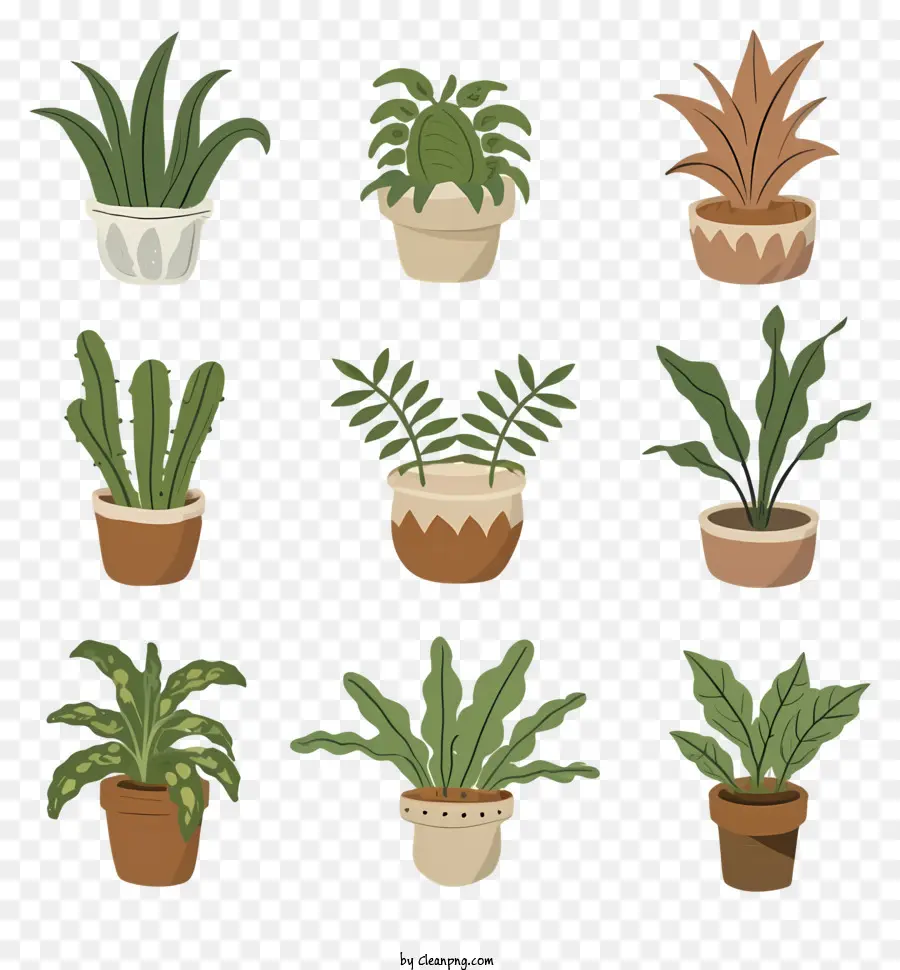 Plantas Em Vasos，Plantas Verdes PNG