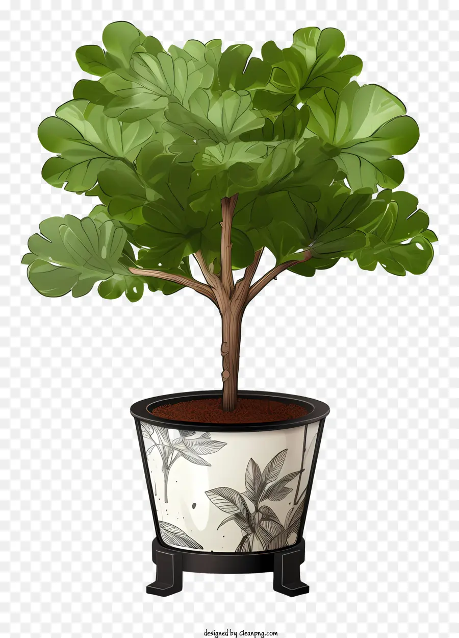 Uma árvore Bonsai，Grande Plantador PNG