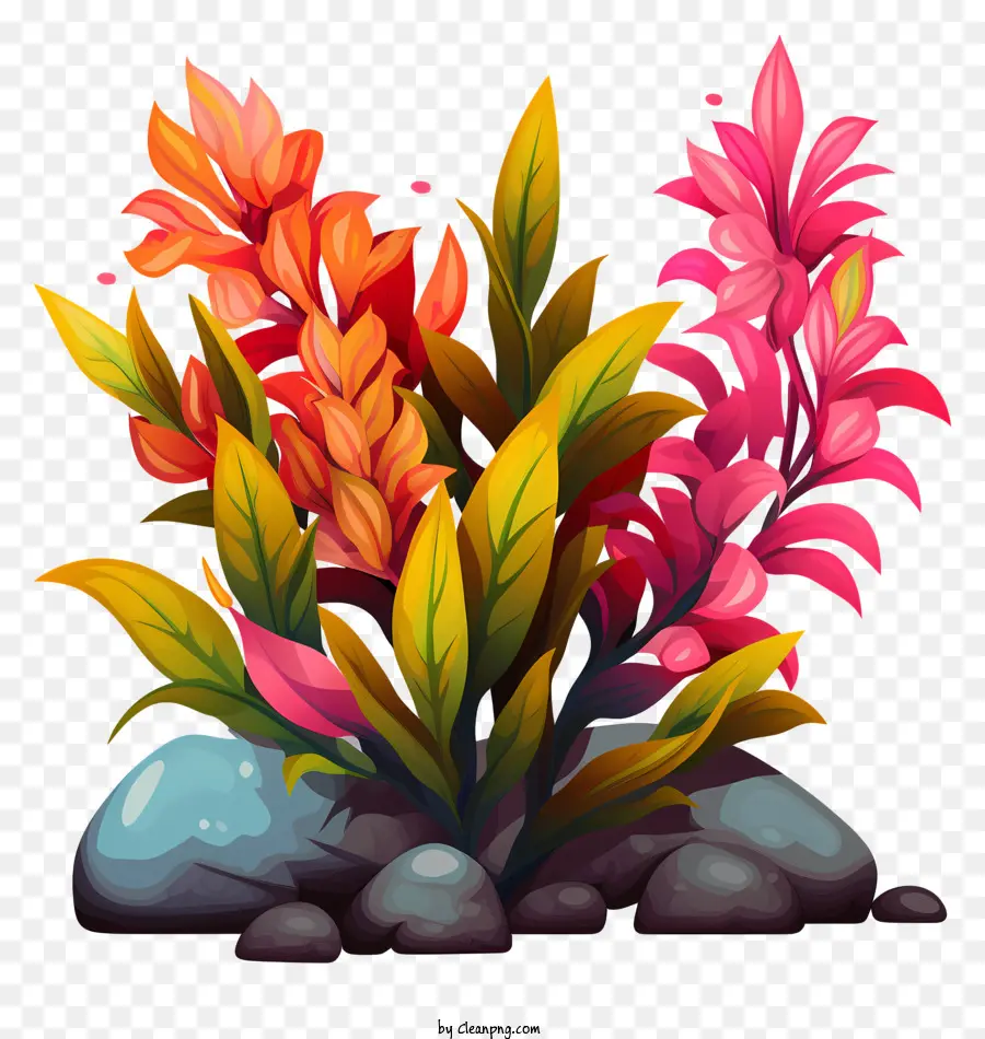 Plantas Coloridas，Flores PNG