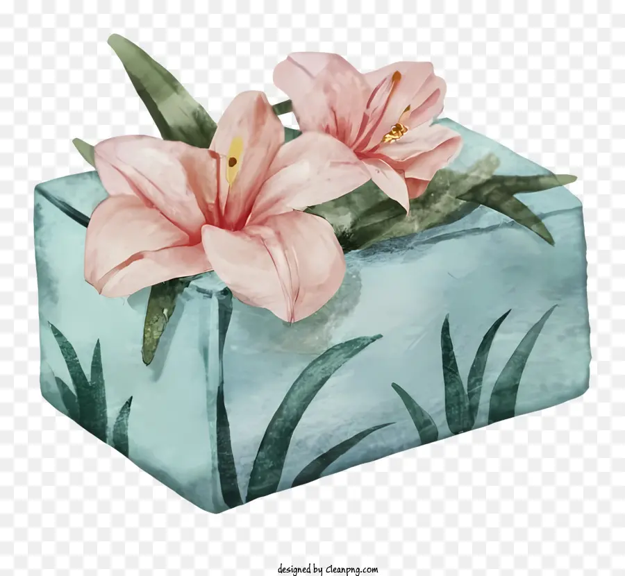 Caixa Pequena，Flor Rosa PNG