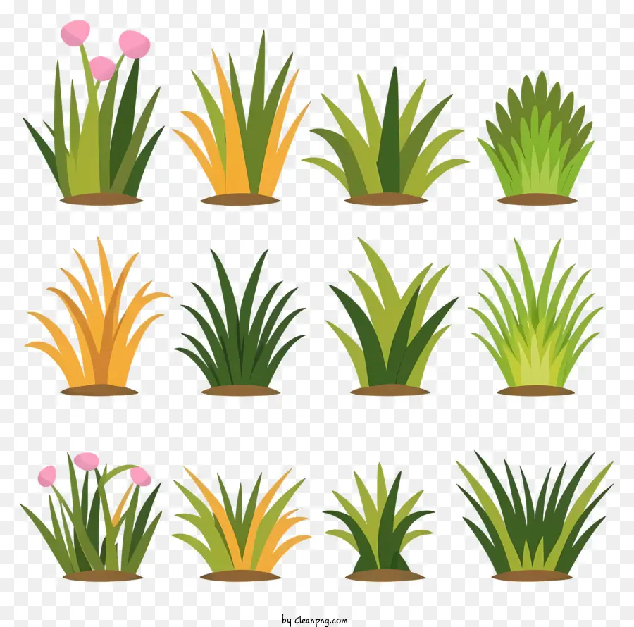 Plantas，Grama PNG