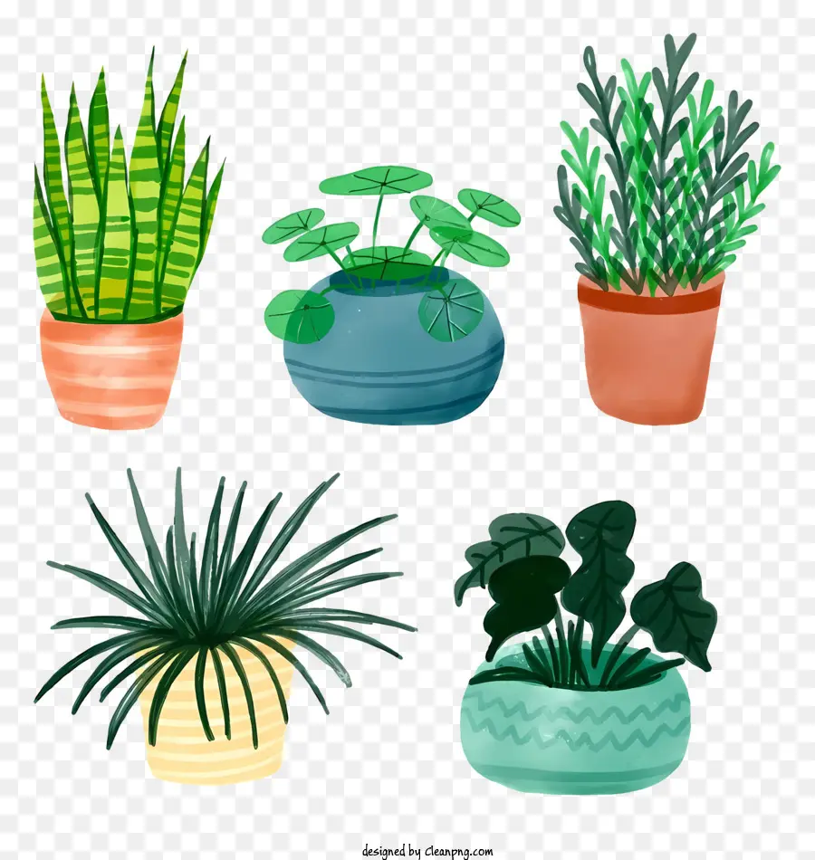 Vasos De Plantas，Plantas Verdes PNG