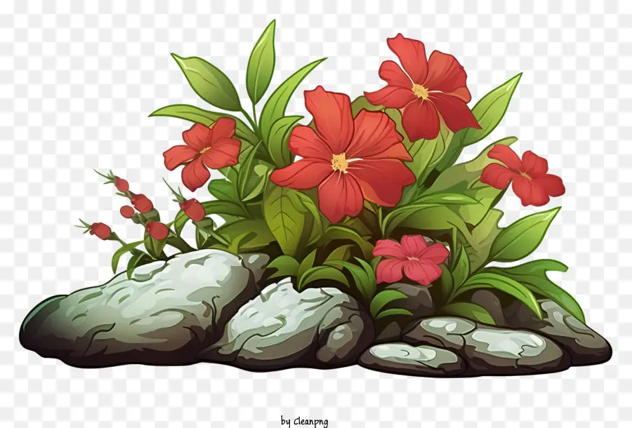 Flores Vermelhas，Flores Desabrochando PNG