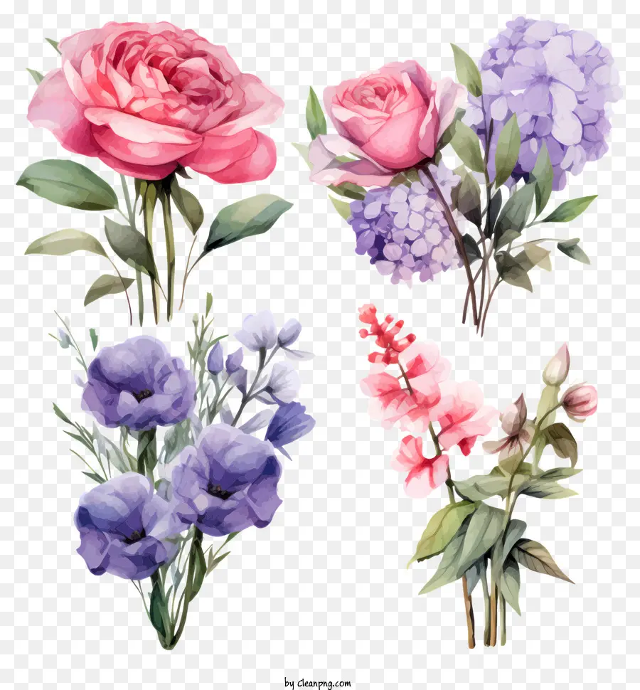 Bouquet Of Flowers，Blooms Rosa E Roxo PNG