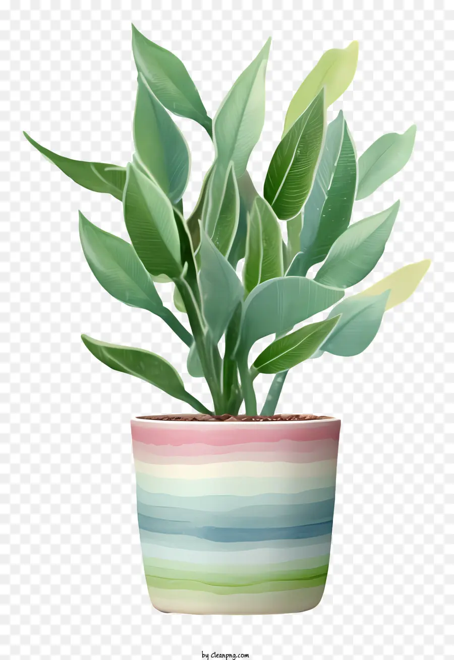 Pequena Planta Em Vasos，Folhas Verdes PNG