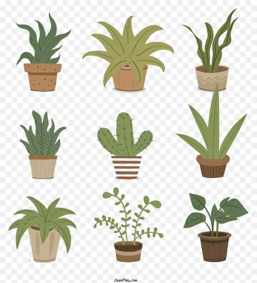 Suculentas，Plantas Em Vasos PNG