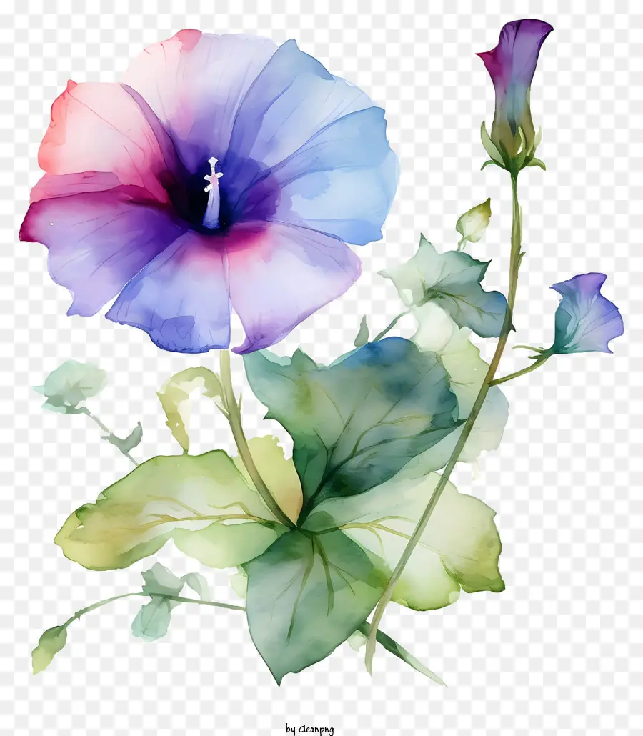 Pintura，Flor Rosa E Azul PNG