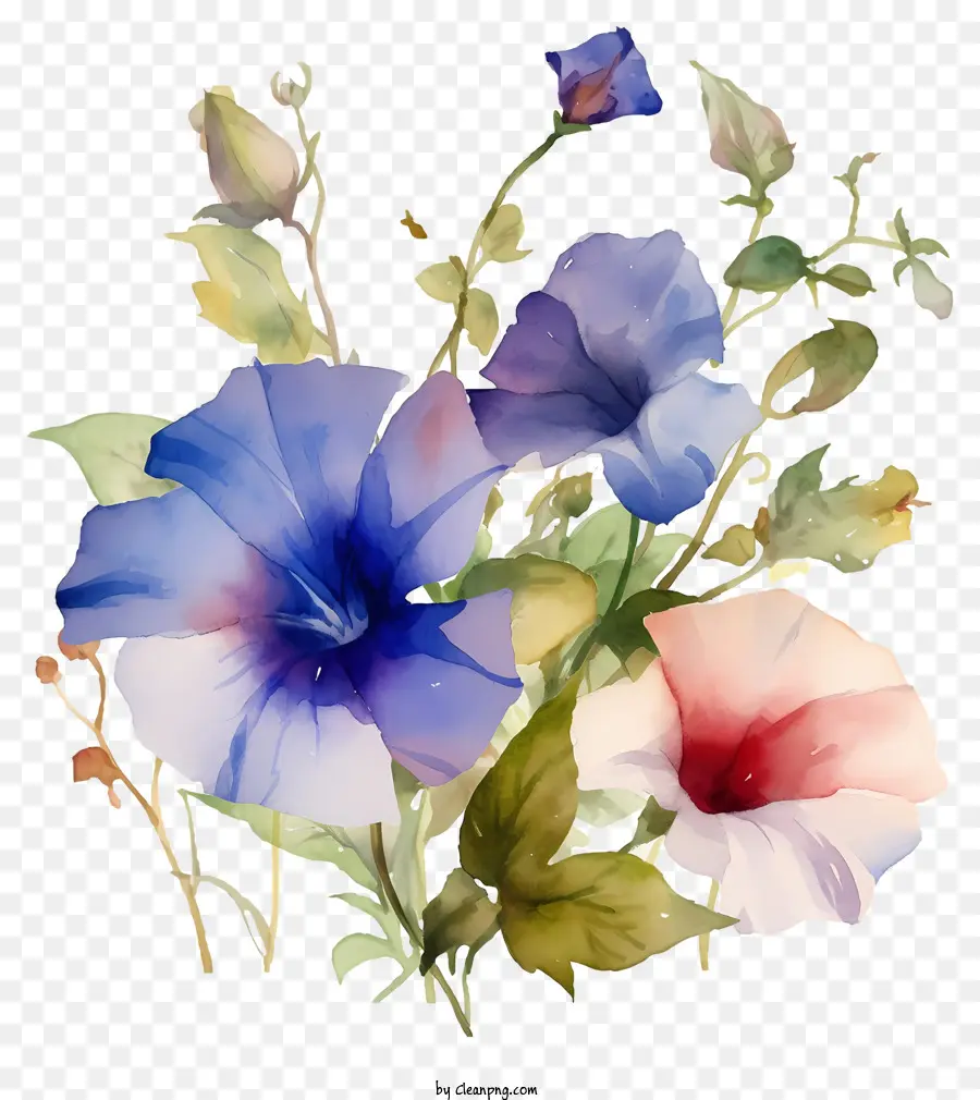 Pintura，Flores PNG